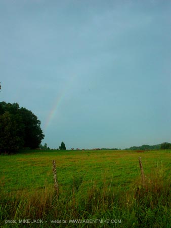 DSC05605