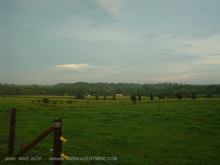 DSC05606