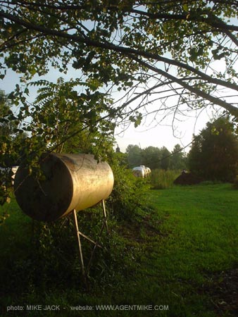 DSC05619