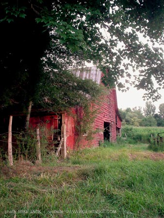 DSC05634