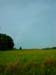 DSC05605