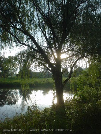 DSC05576