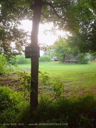 DSC05639