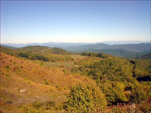 DSC09116